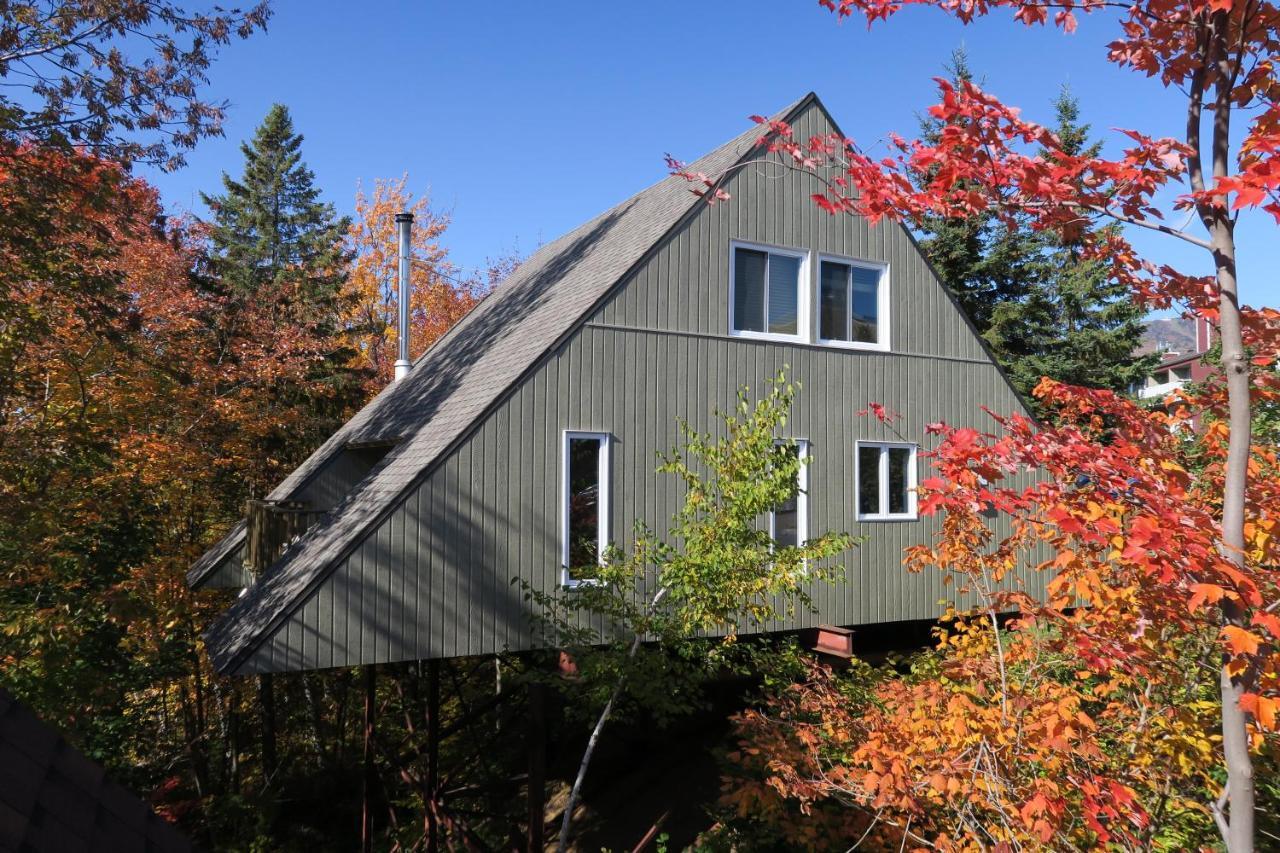 Chalet Familial Du Plateau ボーブレ エクステリア 写真